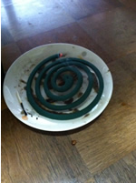Mosquito Coil